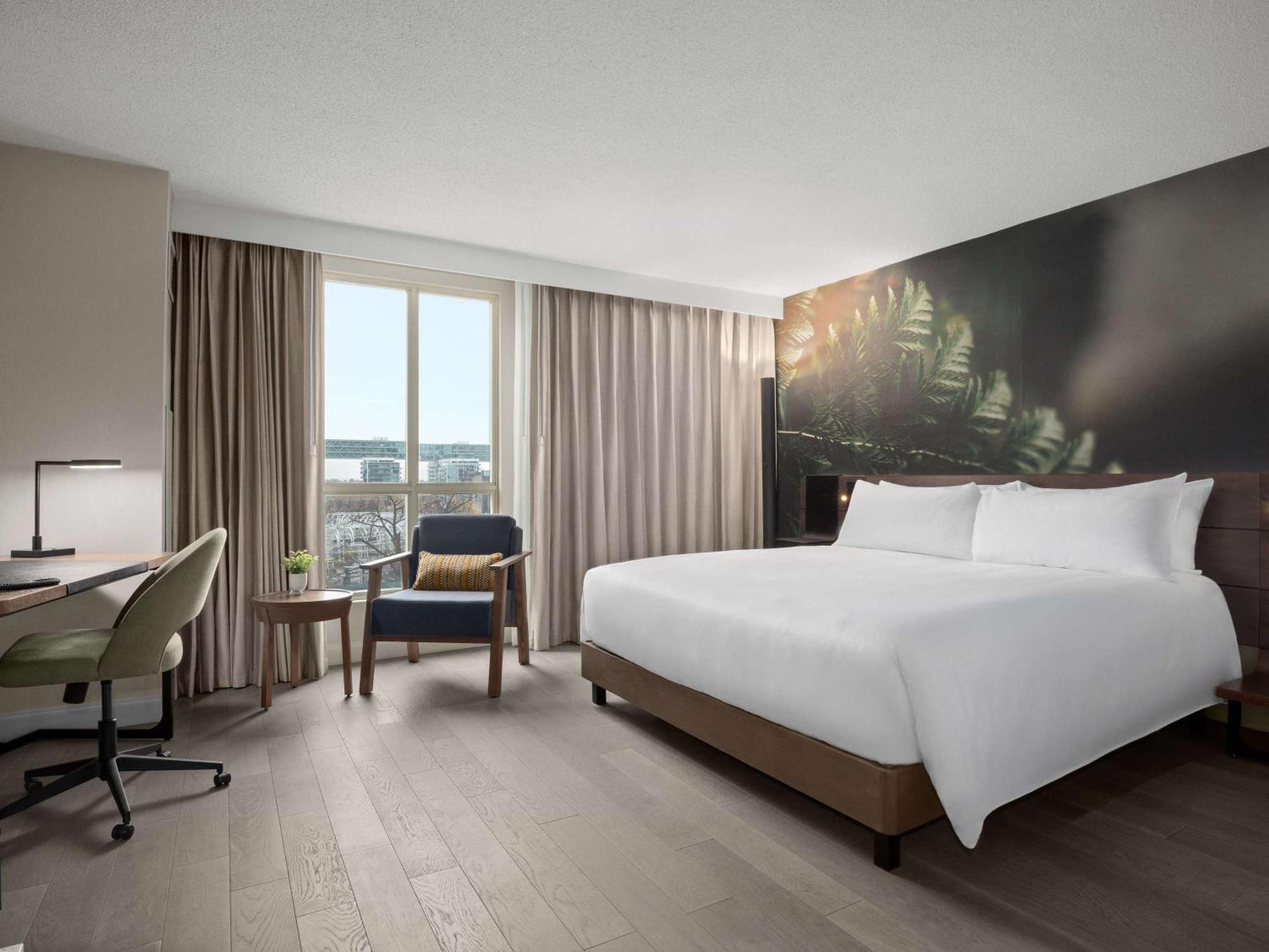 The Novotel Toronto Centre Esterno foto